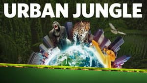 Urban Jungle — foto 1