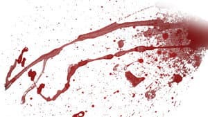 Blood On The Saddle — foto 1
