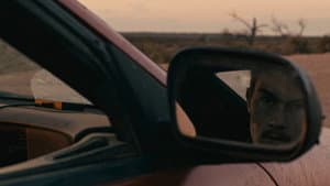 Roadkill — foto 1