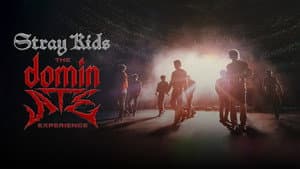 Stray Kids: The dominATE Experience — foto 6