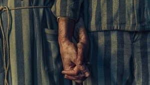 El Tatuador de Auschwitz — foto 4