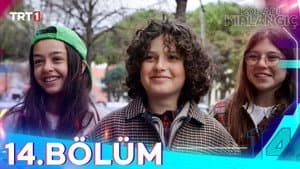 Episodio 14