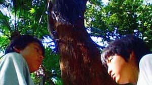 だるまさんがころんだ — foto 1