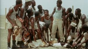 Camp de Thiaroye — foto 5