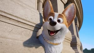 Corgi: Un perro real — foto 8