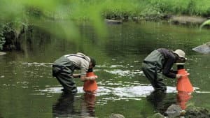 La Rivière — foto 3