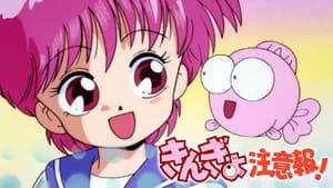 きんぎょ注意報! — foto 1