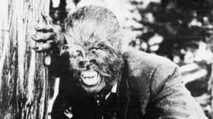 Los colmillos del lobo — foto 4