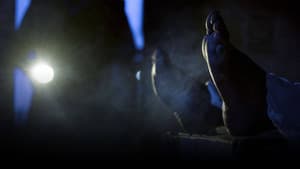 Morgue — foto 1