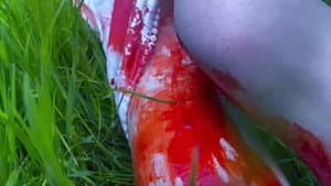 Fruitful — foto 2