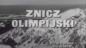 Znicz olimpijski — foto 2