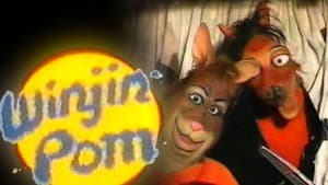 The Winjin Pom — foto 1