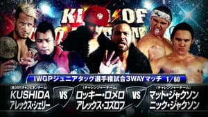 NJPW King of Pro-Wrestling 2014 — foto 8