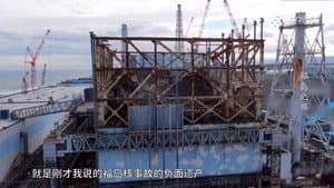 福岛之殇 — foto 1