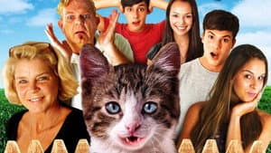 A Talking Cat!?! — foto 4