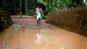 എലിപ്പത്തായം — foto 3