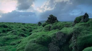 Voyage of Time: The IMAX Experience — foto 1