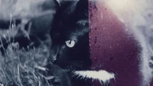 Winter Li — foto 1