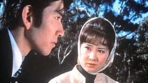青春大全集 — foto 1