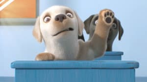 Pip — foto 8