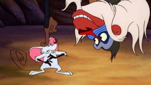 Episodio 4