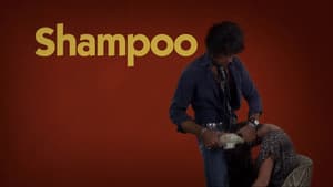 Shampoo — foto 8