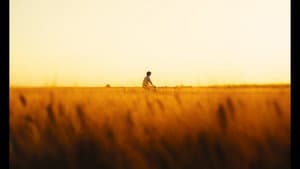 50mm — foto 4