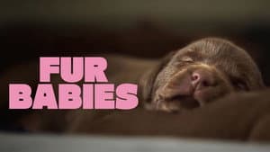 Fur Babies — foto 3
