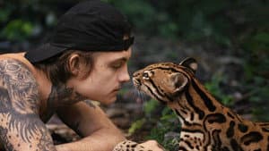 Wildcat — foto 1