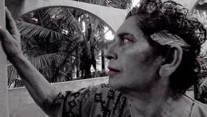 Ojos Simonetta — foto 1