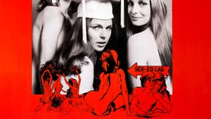 The Student Teachers — foto 1