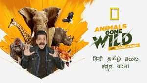 Animals Gone Wild With Jaaved Jaaferi — foto 1