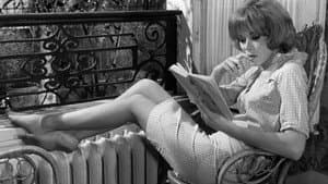 Les Bons Vivants — foto 6