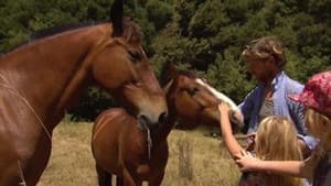 Episodio 9