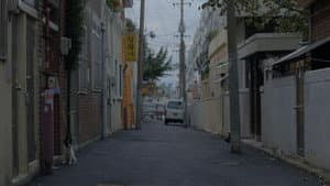 설희 — foto 2
