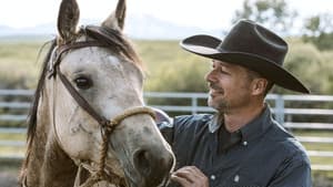 Equus, une histoire de chevaux et d'hommes — foto 1