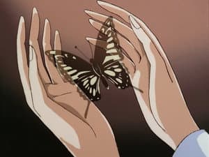 Episodio 24