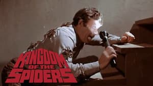 Kingdom of the Spiders — foto 2