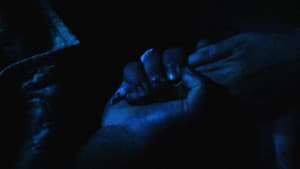 En lo oscuro no se ve — foto 1
