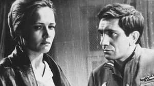 Журавушка — foto 1