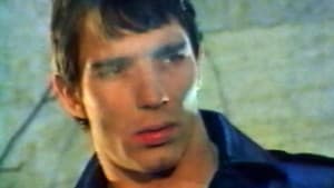 Mondo Homo : Enquête sur le cinéma pornographique homosexuel français des années 70 — foto 1