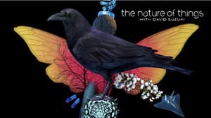 The Nature of Things — foto 4