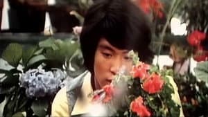 性処女　ひと夏の経験 — foto 3
