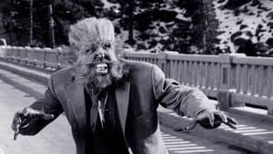 Los colmillos del lobo — foto 1