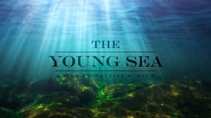 The Young Sea — foto 1