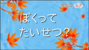 Episodio 38