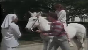 Episodio 94
