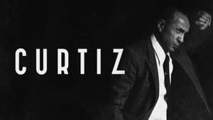 Curtiz — foto 10