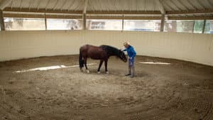 The Cowboy and the Queen — foto 2