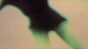 Julien Donkey-Boy — foto 5